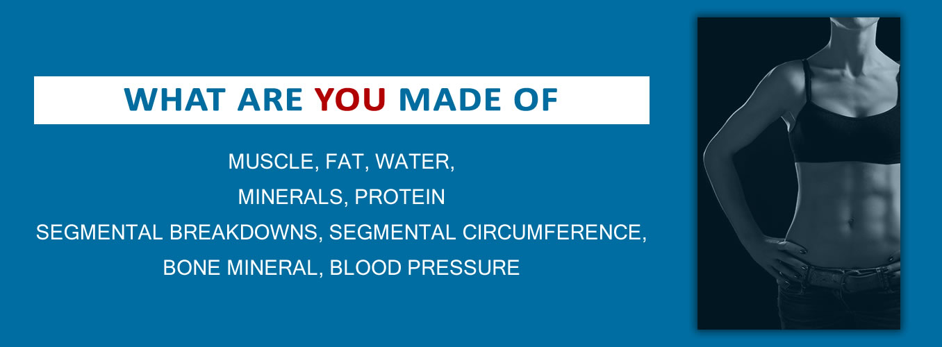 muscle,fat,water minerals, protein,bone mineral,segmental, blood pressure